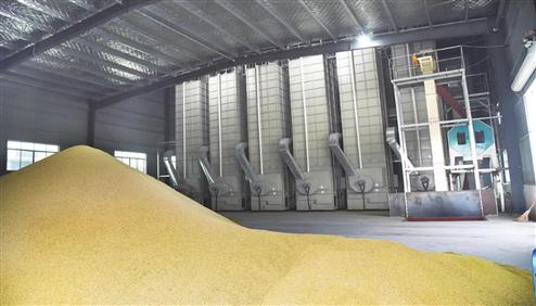 ē:ZʳəCF(xin)l(f)չǰ