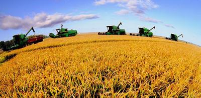 今秋大農機馬力全開 機械收獲秸稈還田深松整地 www.www85165.cn